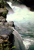 foto 15.jpg